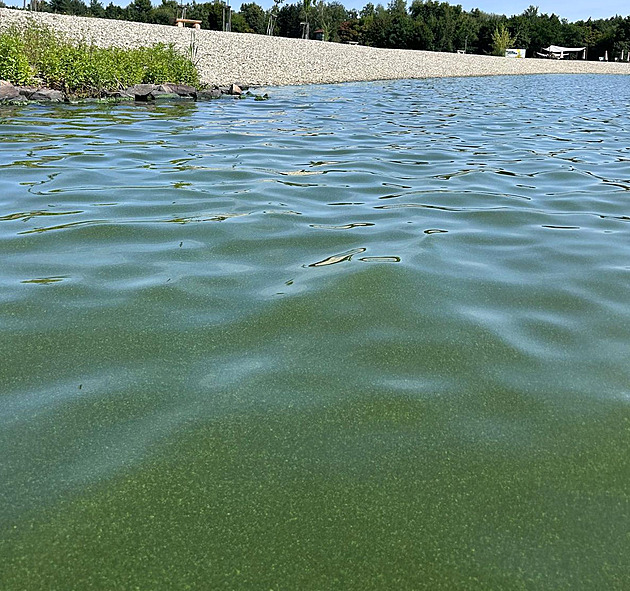 Sinice pokazily koupání v hlučínském jezeře, provozovatel snížil vstupné