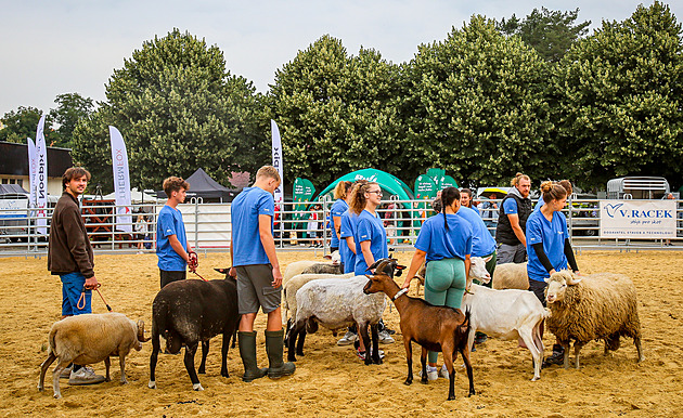 Země živitelka ukáže automat na brambory i supermoderní kurník