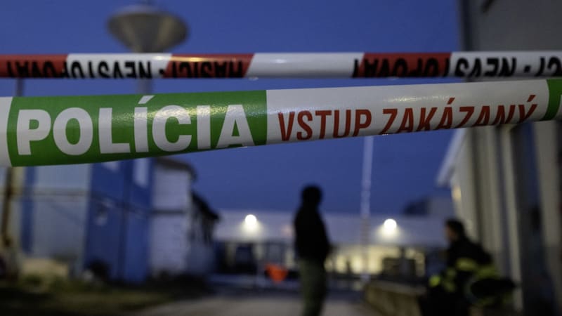 Náhodný výstřel ze vzduchovky zranil batole v Čaklově. Zasáhl ho 10letý bratranec