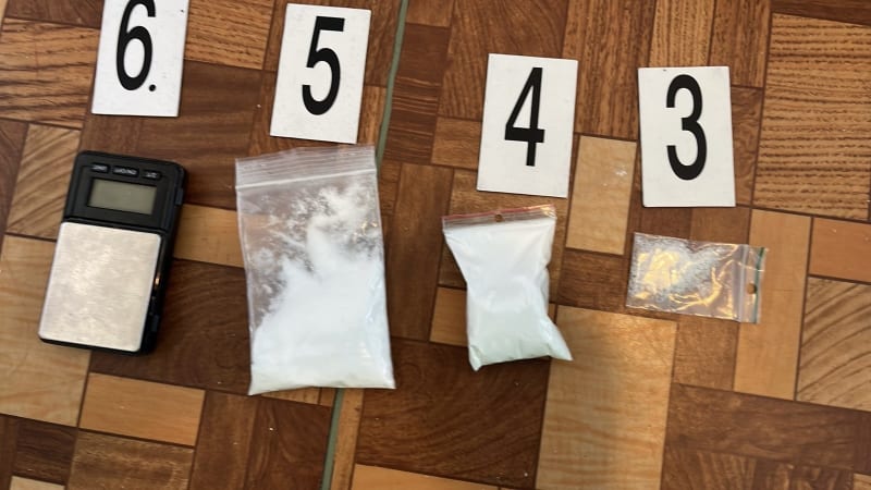 Drogy dováželi v taxi i na koloběžce, dodávali je do věznice. V Česku působili i Chorvati