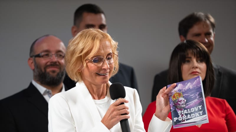 Stačilo! je nepřiznaná koalice, tvrdí brněnský soud. Ať rozhodne Ústavní soud, vyzývá