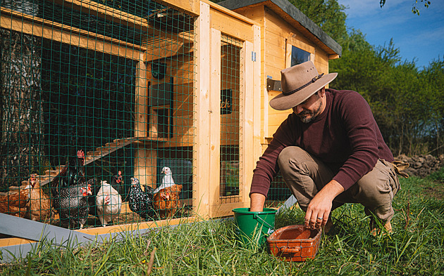 Se slepicemi už se Kotek z farmy nehne. Zasadil brambory, udělal drenáže