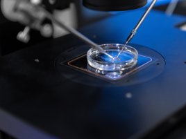 Průlom z Finska: vědci vytvořili kvantový tepelný motor v supravodivém obvodu