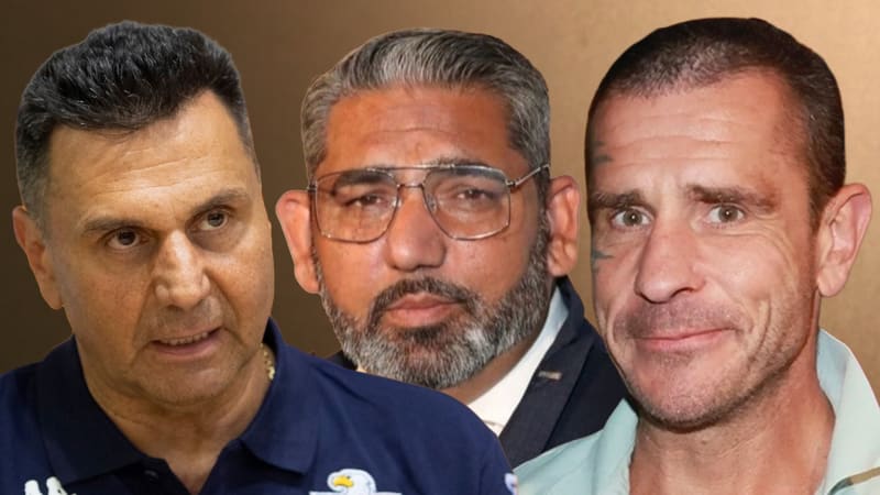 Do politiky míří další Okamura. Hokejovým legendám se nedařilo, jak dopadli Rosenberg a Godla?